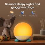 Sunrise Alarm Clock with Dual Alarms and Night Light