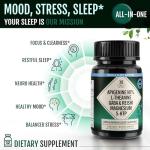 Natural Sleep Aid with GABA and L-Theanine