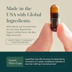 Gaia Herbs Sound Sleep Support - 60 Vegan Capsules