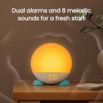 Sunrise Alarm Clock with Dual Alarms and Night Light
