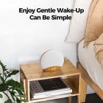 Housbay Sunrise Alarm Clock with White Noise