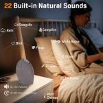 Sunrise Alarm Clock with Sounds and Colors