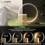 Vivilumens Sunrise Alarm Clock with White Noise