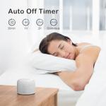 REACHER Portable White Noise Sound Machine with Bluetooth