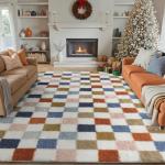 Cozy Colorful 8x10 Washable Area Rug