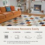 Cozy Colorful 8x10 Washable Area Rug