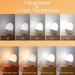 RICIAL Sunrise Alarm Clock with Wake Up Light