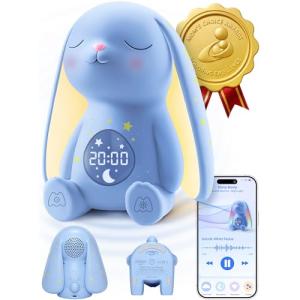 White Noise Sound Machine with Night Light and App