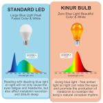 Warm Amber LED Edison Bulbs for Better Sleep