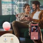 Sunrise Alarm Clock with Bluetooth Speaker and Sounds
