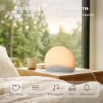 Sunrise Alarm Clock with White Noise & Sleep Aids