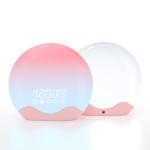 Wake Up Light Alarm Clock with Therapy Light