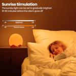 Wake Up Light Alarm Clock with Therapy Light
