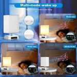 Sunrise Alarm Clock with White Noise and App Control
