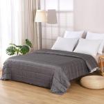 ZonLi 15lbs Cooling Weighted Blanket, Grey