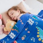 HOSUKKO 5 lbs Dinosaur Weighted Blanket