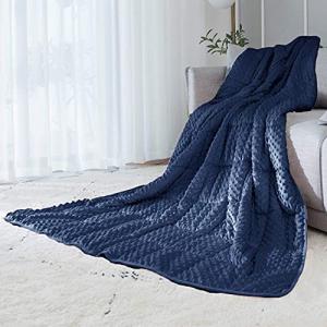Reversible 10Lb Velvet Weighted Blanket - Blue