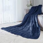 Reversible 10Lb Velvet Weighted Blanket - Blue