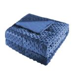 Reversible 10Lb Velvet Weighted Blanket - Blue