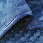 Reversible 10Lb Velvet Weighted Blanket - Blue