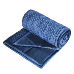 Reversible 10Lb Velvet Weighted Blanket - Blue