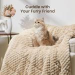 Drewin 15lbs Queen Size Sherpa Weighted Blanket