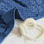 Reversible 10Lb Velvet Weighted Blanket - Blue