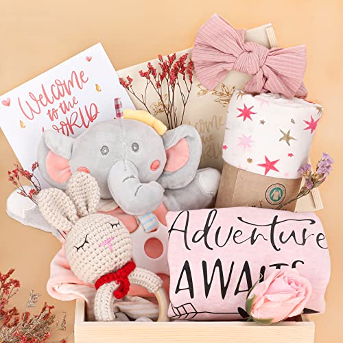 Baby Girl Gift Basket for Newborns and Showers