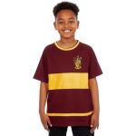 Boys' Gryffindor Quidditch T-Shirt - Size 8