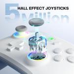 ECHTPower Wireless PC Gaming Controller - Hall Effect Joystick, 2.4G & Wired 1000Hz Polling Rate, 800mAh Battery, Adjustable Turbo/Vibration - for PC/Switch/iOS/Android