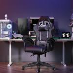 Racingreat Ergonomic Gaming Chair with Adjustable Height, Reclining Feature, Headrest, and Lumbar Support for Adults (Basics, Black)