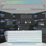 AULA MINI60 Wireless Gaming Keyboard,BT5.0/2.4GHz/Wired,Hall Effect Magnetic Switches,0.01mm RT Accuracy,Adjustable Actuation,8KHz Polling,RGB,WEB Driver,60% Percent Mechanical Keyboard (White)