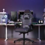 Racingreat Ergonomic Gaming Chair with Adjustable Height, Reclining Feature, Headrest, and Lumbar Support for Adults (Basics, Gray)