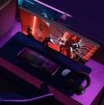 Alienware Aw2524H Gaming Monitor, Anti-Glare 24.5 Inches, 500 Hz, 1 Ms, Hdmi/DP/USB, Height/Tilt, Swivel/Swivel Swivel Swivel Adjustable, S DELL