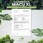 Macu XL - Lutein and Zeaxanthin Supplement - 6 Month Supply with Meso Zeaxanthin, Bilberry Extract, Vitamins A, B12 & Zinc, 180 Vegan Capsules - Eye Supplement for Vision Health – Eye Vitamins