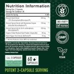 20MG Sulforaphane | from Broccoli Sprouts & Seed Extract | 565MG Microbeadlet Complex | 26MG of Glucoraphanin + Myrosinase | Complete NRF2 Activator, Antioxidant & Cellular Health Supplement | 60 Ct.