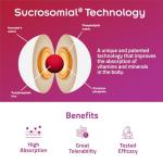 Pharmanutra SiderAL Folic Iron Supplement for Women, Vitamins C, D, B6, B12, Folic Acid, Reduces Fatigue, Iron Deficiency, Pregnancy, Gentle on Stomach, Non-Constipating, Rapid Absorption, 20 Sachets