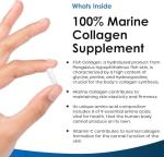 Pure Marine Collagen 100% Marine Collagen Type 1 Hydrolysed Collagen Peptides Enhanced with Hyaluronic Acid & Vitamin C -Essential Amino Acids - Collagen Supplements for Women and Men, 60 Capsules