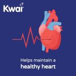 Kwai Heartcare 300mg Tablets - 100 Tablets (Pack of 1) - with Vitamin B1 and Standardised Garlic Extract - Odourless Vegan Tablets to Support Normal Heart Function and Healthy Cholesterol Levels