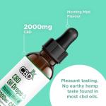 CBDfx 2000mg CBD Oil, High Strength CBD Oil for Stress, Anxiety & Sleep Support, Morning Mint Flavoured CBD Drops, Blended with MCT Oil, No THC, 30ml