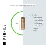Sea Moss Complex 14,000mg Extract Including Bladderwrack & Burdock Root - 120 High Strength Capsules Providing 120 Day Supply - North Atlantic Irish Sea Moss Supplement - Vegan & UK Made