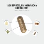 Sea Moss Complex 14,000mg Extract Including Bladderwrack & Burdock Root - 120 High Strength Capsules Providing 120 Day Supply - North Atlantic Irish Sea Moss Supplement - Vegan & UK Made