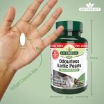 Natures Aid Odourless Garlic Pearls - Supports Heart Health and Circulation - Antioxidant - Non-GMO, Gluten-Free - One-a-Day Easy to Swallow, Tasteless Supplement - 120 Softgel Capsules