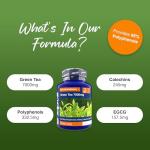 Zipvit Green Tea Extract 7000mg Antioxidant, 95% Polyphenols. 90 Vegan Green Tea Tablets. 3 Months Supply.