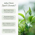 Zipvit Green Tea Extract 7000mg Antioxidant, 95% Polyphenols. 90 Vegan Green Tea Tablets. 3 Months Supply.