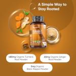 Organic Turmeric and Black Pepper Capsules - with Organic Ginger - 365 Capsules - 1 Year Supply - 1 per Day - Soil Association Certified Turmeric Supplement for Men & Women - Vegan & Gluten-Free