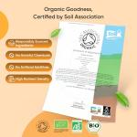 Organic Turmeric and Black Pepper Capsules - with Organic Ginger - 365 Capsules - 1 Year Supply - 1 per Day - Soil Association Certified Turmeric Supplement for Men & Women - Vegan & Gluten-Free