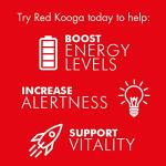 Red Kooga Ginseng Multivitamins and Minerals, with Vitamins B2, B6 and 12 and Niacin, Zinc and Iron, Pack of 32 Tablets