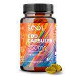 SOOL CBD Capsules 750mg 30pcs | 25mg CBD Per Gel Soft Capsule | Broad Spectrum CBD Oil Capsules | Blended with Hemp Oil | Relax - Recover - Revive