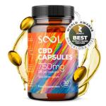 SOOL CBD Capsules 750mg 30pcs | 25mg CBD Per Gel Soft Capsule | Broad Spectrum CBD Oil Capsules | Blended with Hemp Oil | Relax - Recover - Revive
